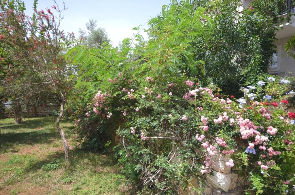 Villa Leton Kleo - Kalkan Center 外观 照片